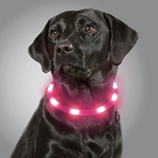 COLLAR LUMINOSO AJUSTABLE